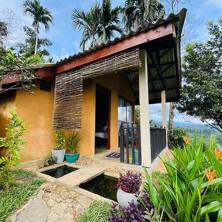Rainforest Nature House デニヤヤ エクステリア 写真