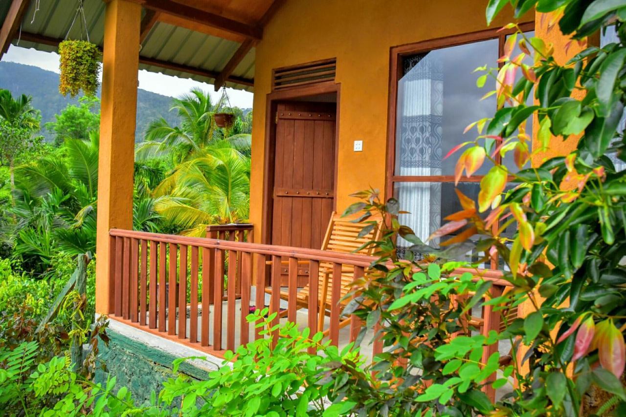 Rainforest Nature House デニヤヤ エクステリア 写真
