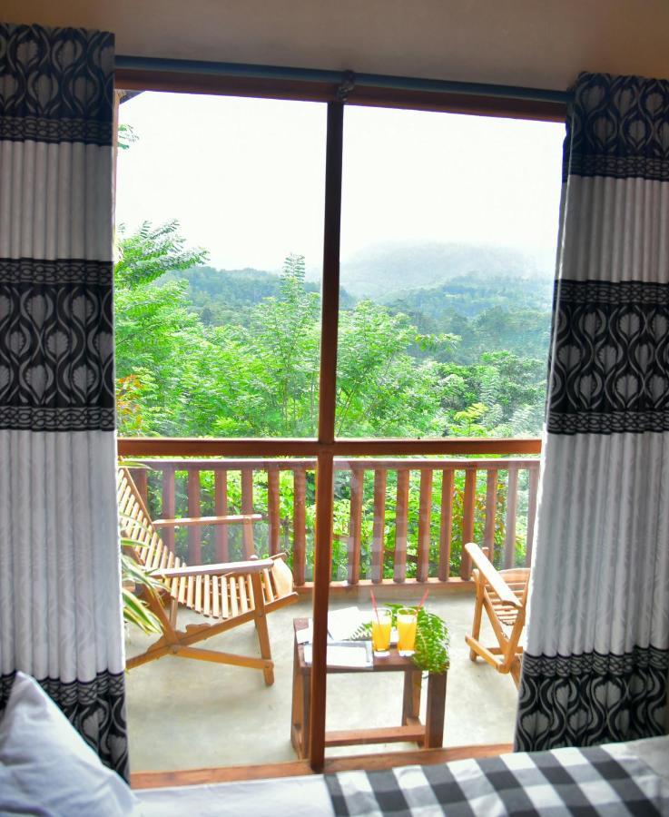 Rainforest Nature House デニヤヤ エクステリア 写真