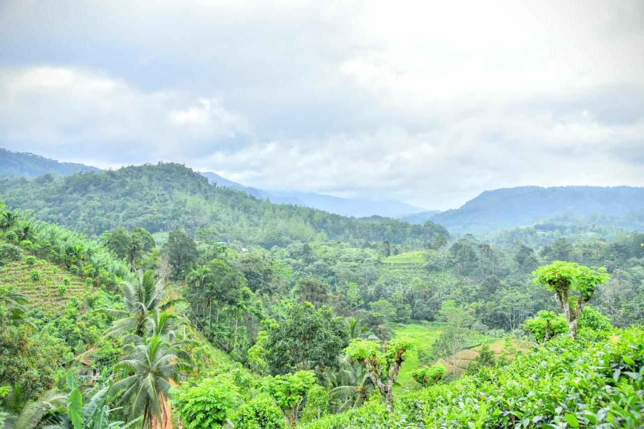 Rainforest Nature House デニヤヤ エクステリア 写真