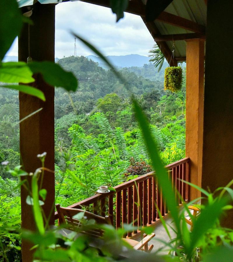 Rainforest Nature House デニヤヤ エクステリア 写真