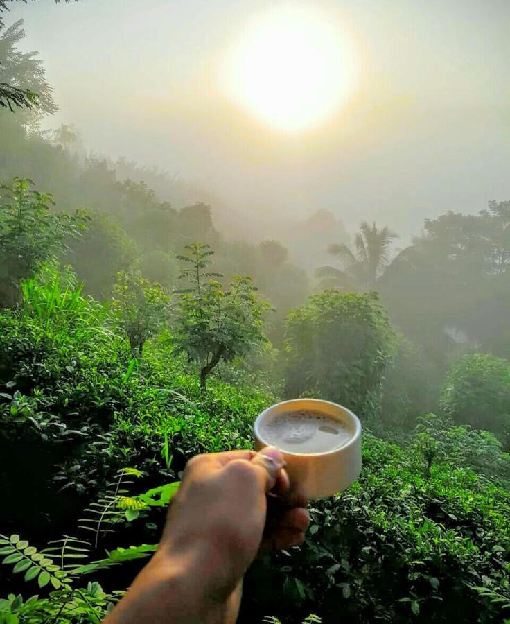 Rainforest Nature House デニヤヤ エクステリア 写真