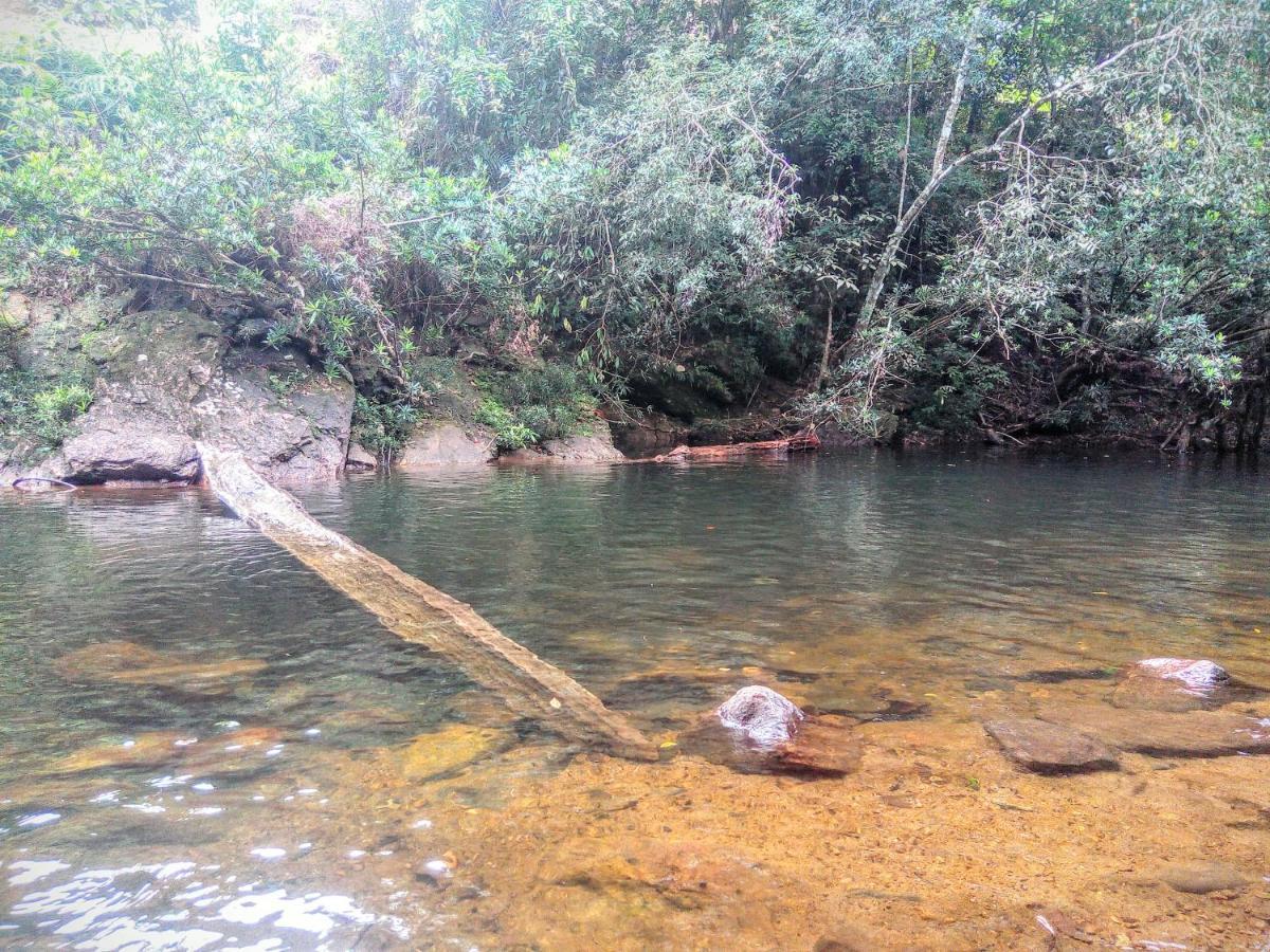 Rainforest Nature House デニヤヤ エクステリア 写真