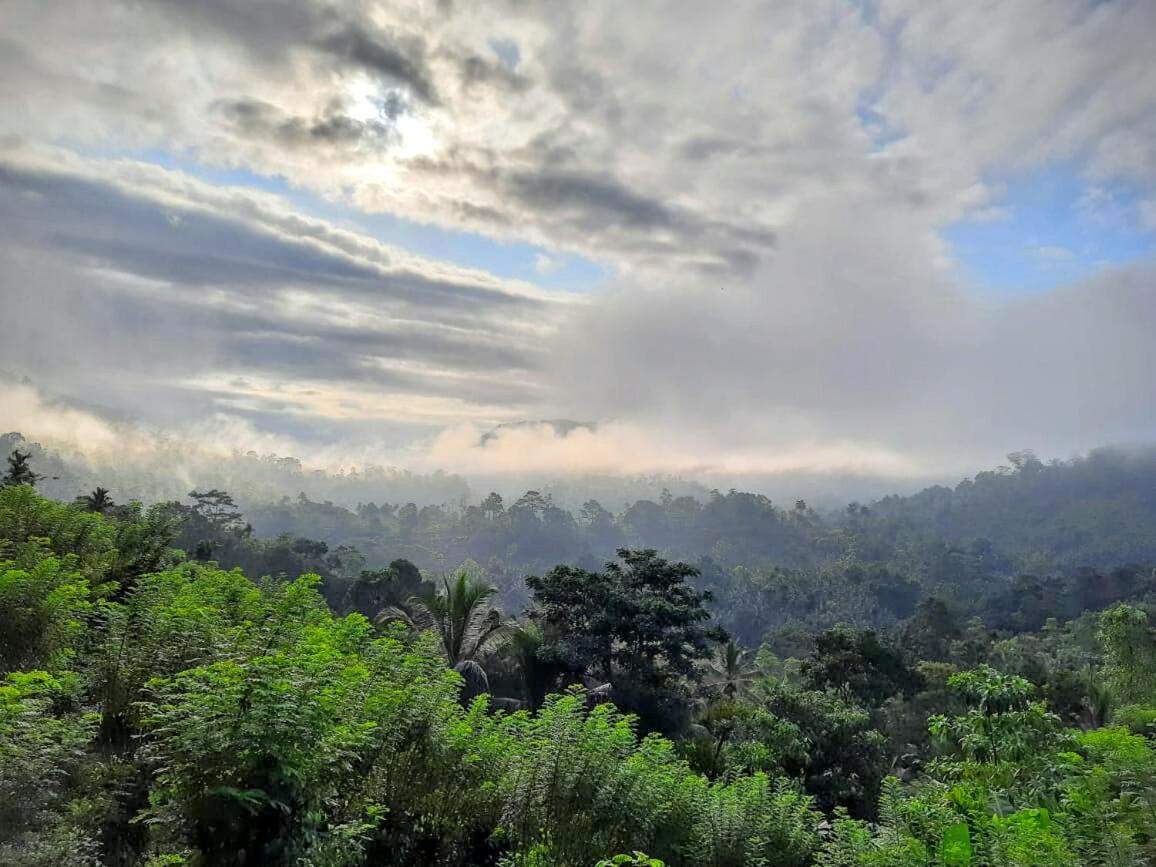 Rainforest Nature House デニヤヤ エクステリア 写真