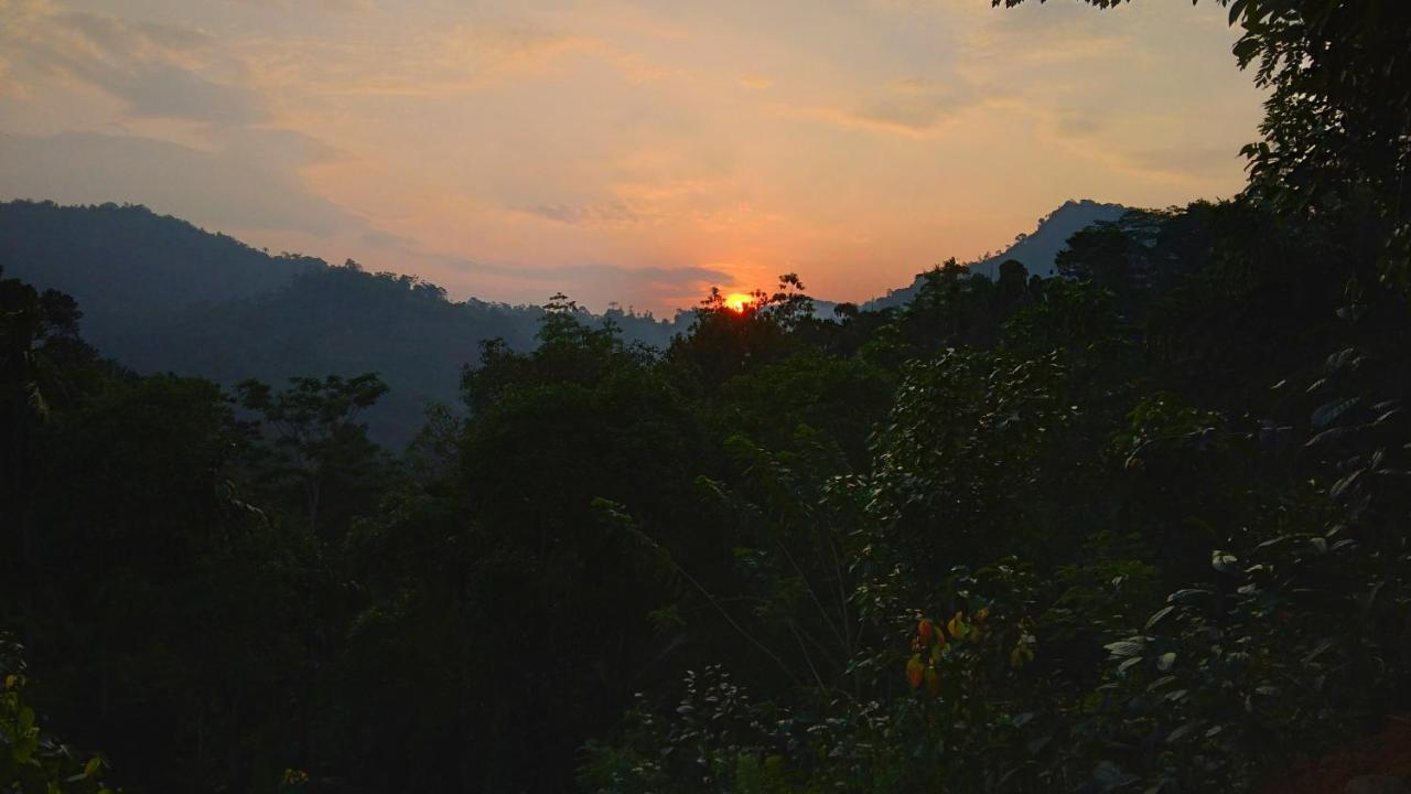 Rainforest Nature House デニヤヤ エクステリア 写真