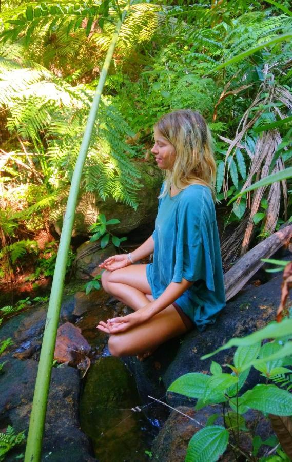 Rainforest Nature House デニヤヤ エクステリア 写真