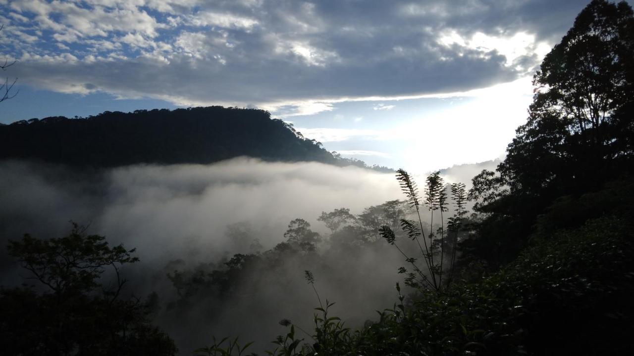 Rainforest Nature House デニヤヤ エクステリア 写真