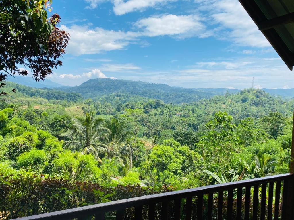 Rainforest Nature House デニヤヤ エクステリア 写真