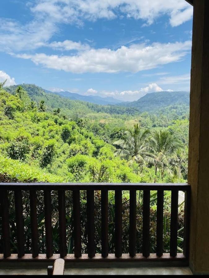 Rainforest Nature House デニヤヤ エクステリア 写真