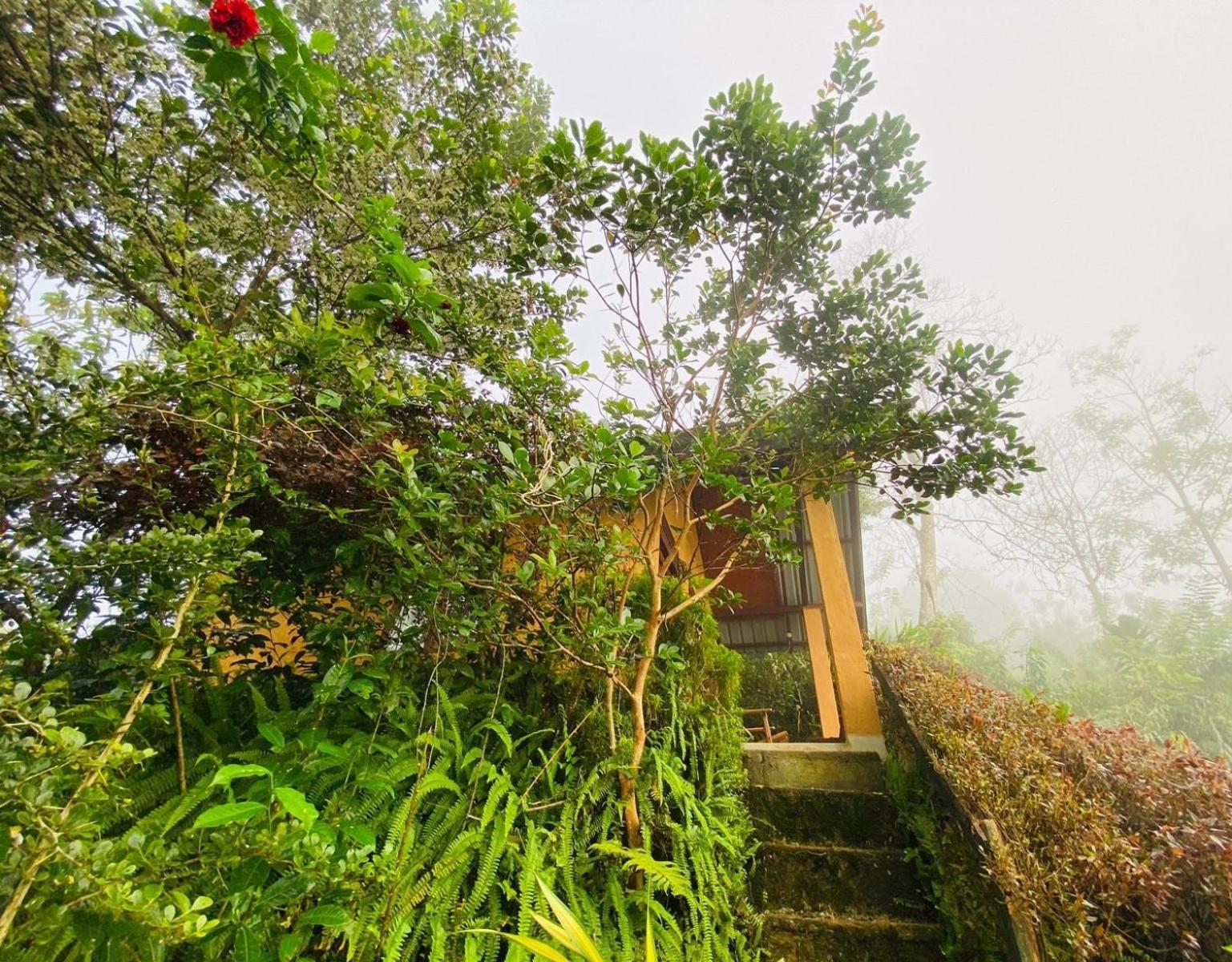 Rainforest Nature House デニヤヤ 部屋 写真